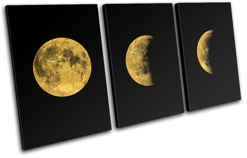 Moon stages modern office - moon,