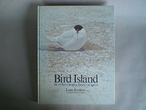 Bird island pictures - island:,