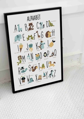 Animal abc kids alphabet - animal,