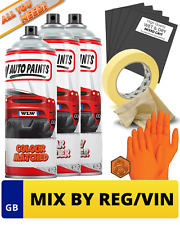 Aerosol Spray Paint Kit Mixed
