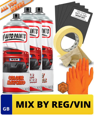 Aerosol spray paint kit - paint,
