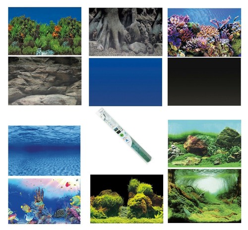 Superfish aquarium background - superfish,