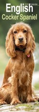 English Cocker Spaniel Slim
