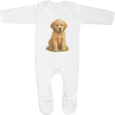 'Golden Retriever Puppy