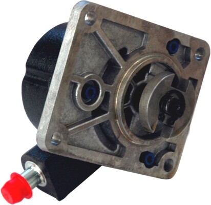 Meat doria 91103 - 91103, vacuum
