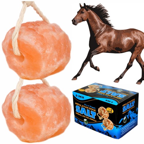 Himalayan salt licks - -, animals