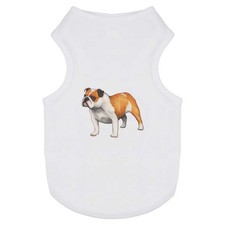 'English Bulldog' Pet Dog /