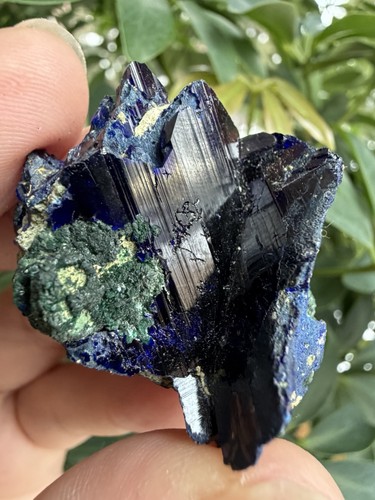 Azurite crystals with - crystals,