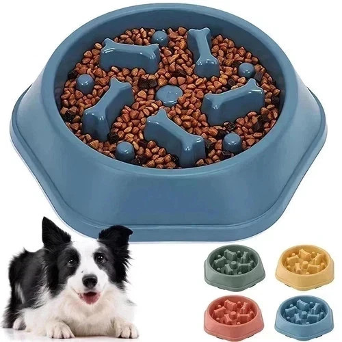 Pet slow feeder - pet, non