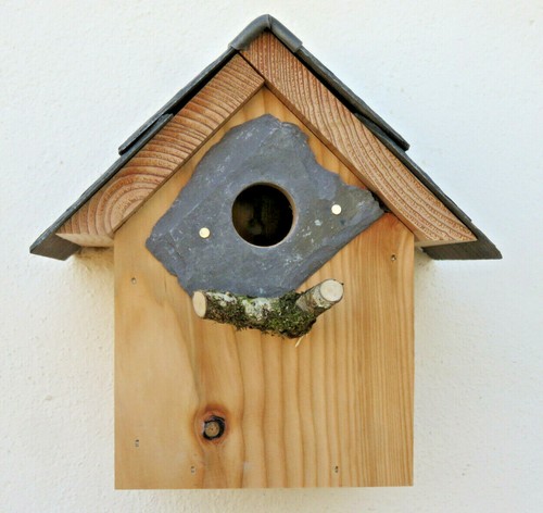 Bird house nesting box sparrow - nesting,