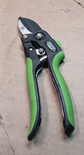 Pruning shears garden - pruning,