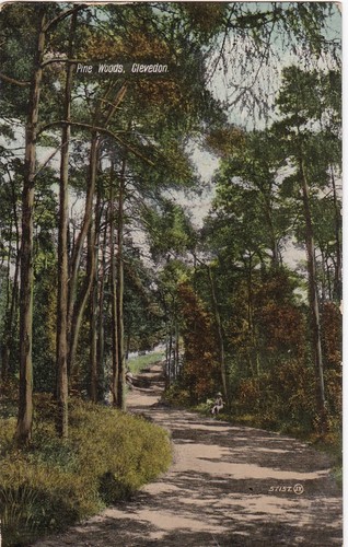 Pine woods clevedon - clevedon,, somerset
