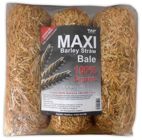 Tap pond barley - barley, straw