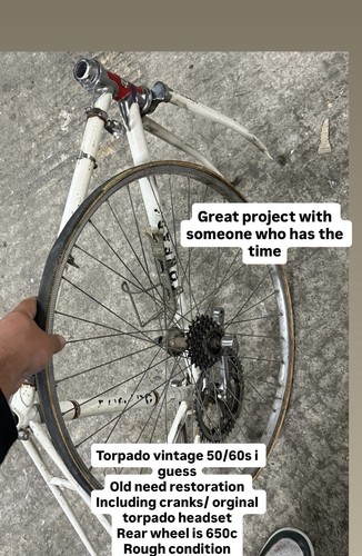 Vintage torpado road frameset - ,