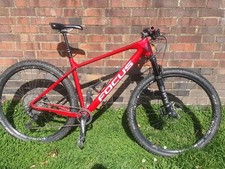 Focus Raven Carbon Size L 2021