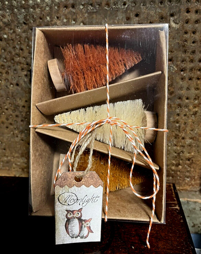 Fall harvest bottle - fall, tree