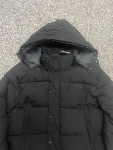 Canada goose arctic program - arctic,