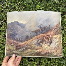 Archibald Thorburn Deer Grazing On Hill Beautiful Art Work Dated 1912