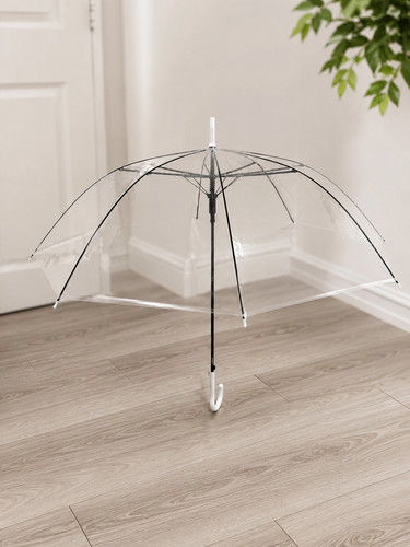 Transparent dome stye umbrella - dome,