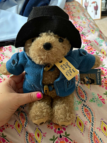 Rainbow designs paddington - designs,