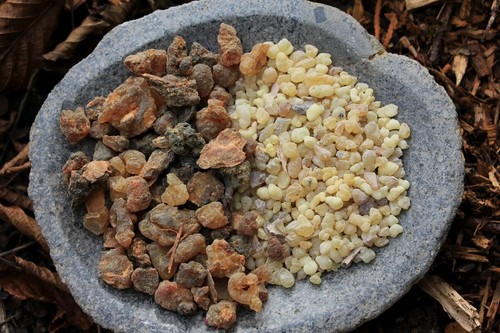 Frankincense myrrh incense - frankincense,