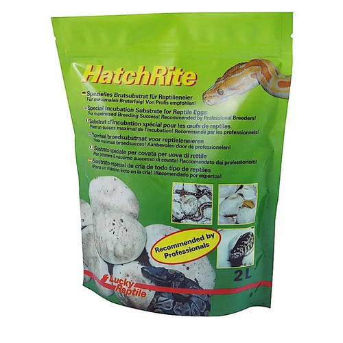 Lucky reptile hatchrite - reptile,