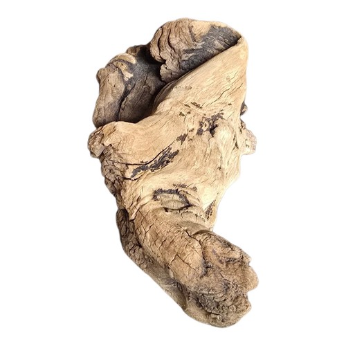 Manzanita burl root wood - manzanita,