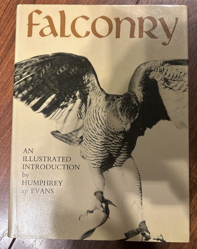 Falconry illustrated - an,
