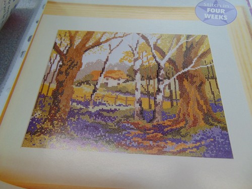 Bluebell wood cross - bluebell,