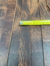 PAIR of 35mm Wide Buffalo Hide