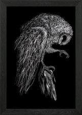 Owl Sketch Framed Wall Art