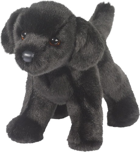 Douglas bear black - bear, dog