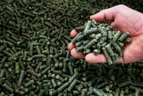 Grain alfalfa pellets - cz, for