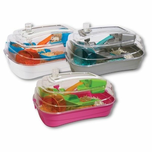 Rosewood abode dwarf hamster - dwarf, &