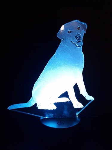 Labrador retriever led - labrador, lamp