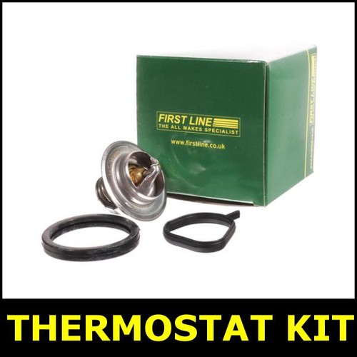Thermostat kit fits ford - thermostat,