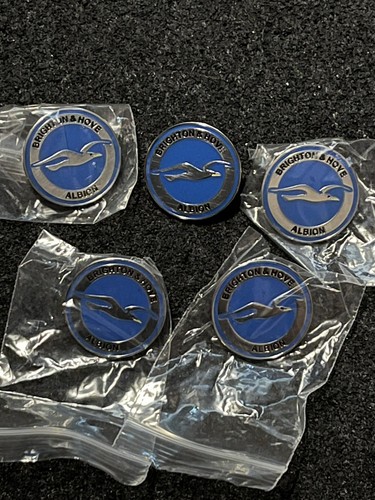 Brighton and hove albion - brighton,