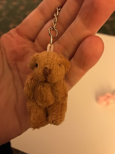 Miniature teddy bear little - bear,