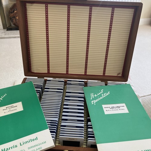 154 35mm photo slides flowers - 35mm,