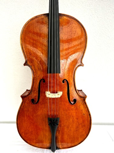 Old nice cello labeled - nice, "