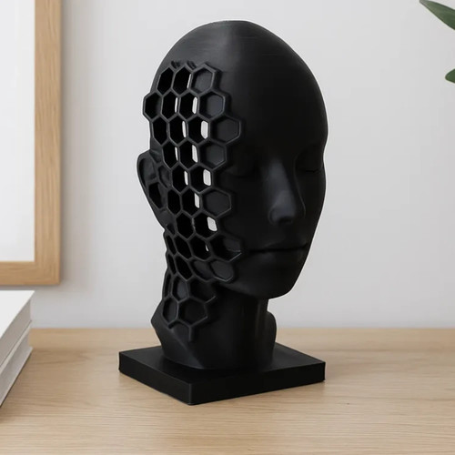 Honeycomb face sculpture - face,
