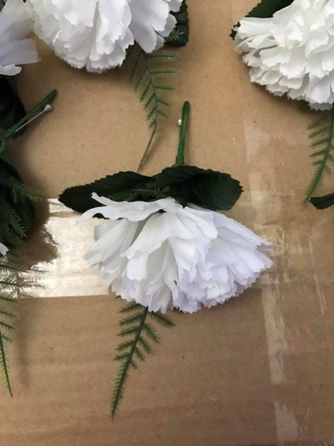 10x white carnation - white,