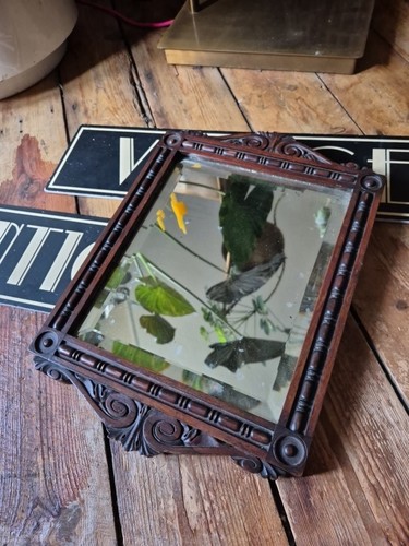Antique old gorgian foxed - antique,