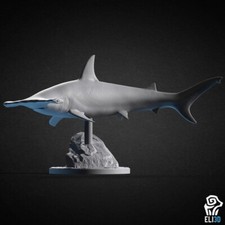 Hammerhead Shark - Eli