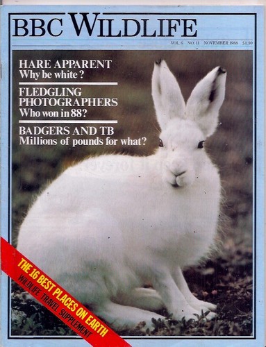 Bbc wildlife magazine nov - wildlife, magazine-nov
