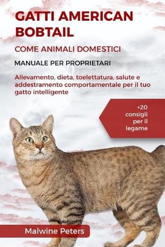 Gatti american bobtail come - bobtail,