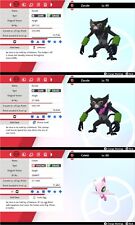 Coco Movie Jungle Original &