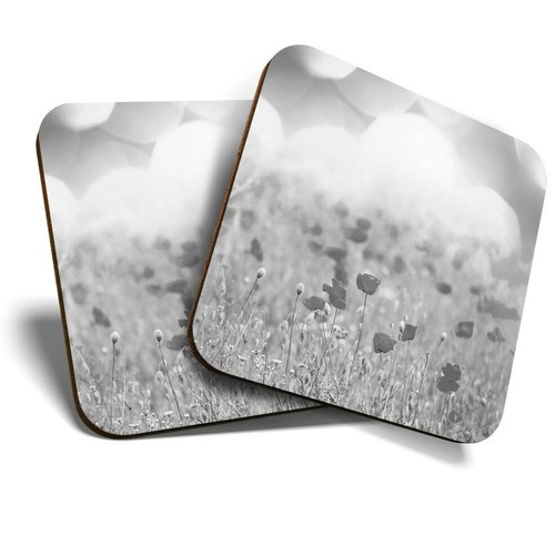 Coasters beautiful - 2,