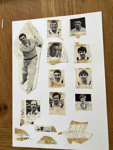 Yorkshire cricket early - cricket,