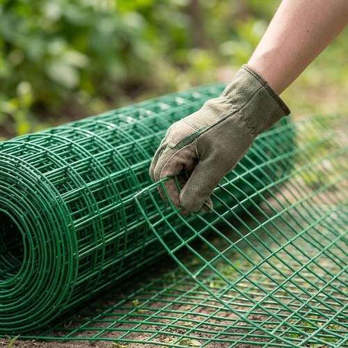 Chicken wire mesh fencing - chicken,